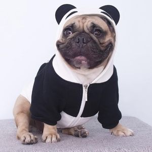New Panda Dog Hoodie- Size XXL by iChoue